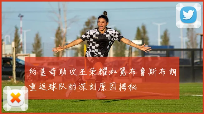 约基奇助攻王荣耀加冕布鲁斯布朗重返球队的深刻原因揭秘