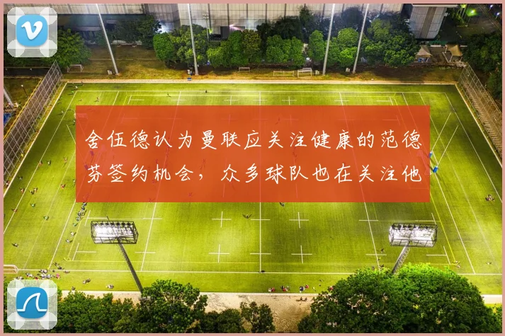 舍伍德认为曼联应关注健康的范德芬签约机会，众多球队也在关注他